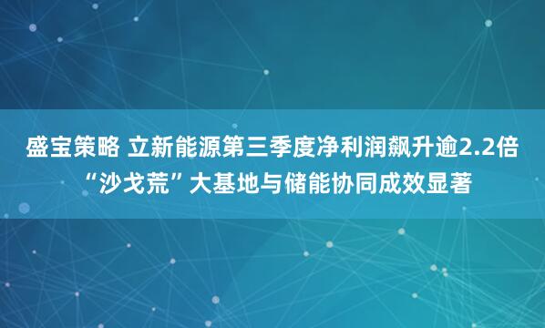 盛宝策略 立新能源第三季度净利润飙升逾2.2倍 “沙戈荒”大基地与储能协同成效显著