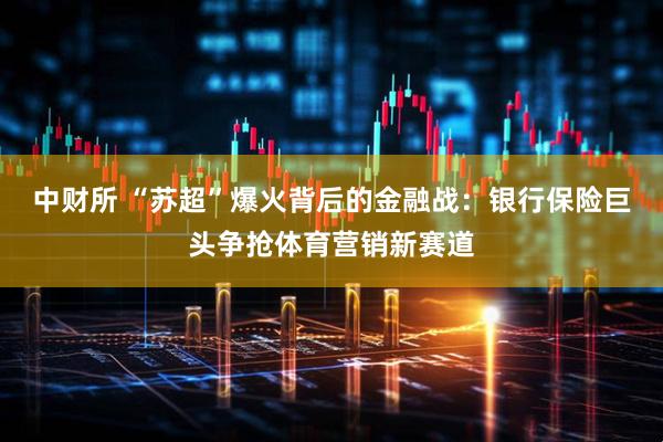 中财所 “苏超”爆火背后的金融战:银行保险巨头争抢体育营销新赛道