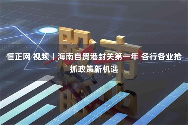 恒正网 视频丨海南自贸港封关第一年 各行各业抢抓政策新机遇